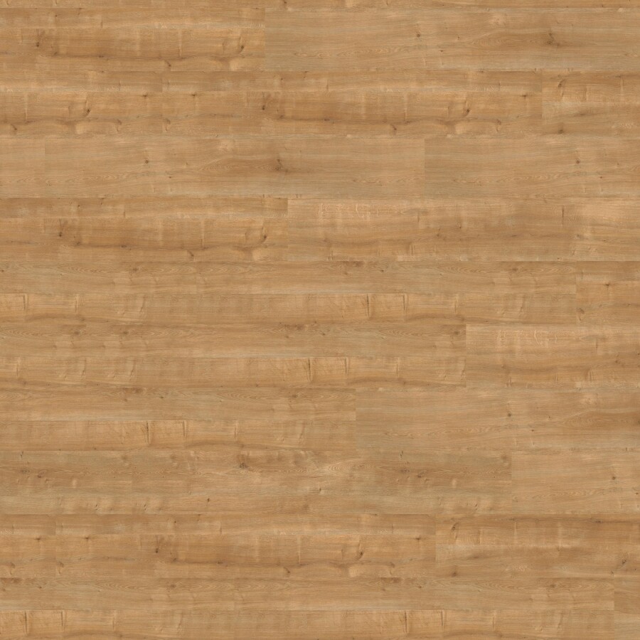 Canyon Oak Honey - elegantní struktura dřeva