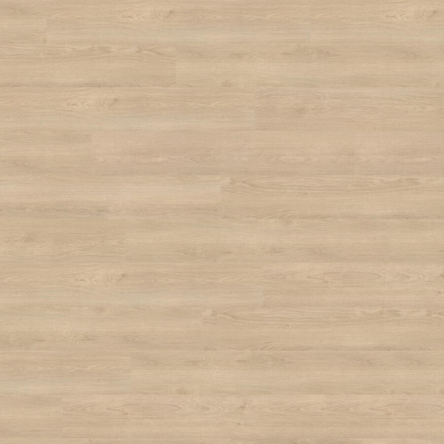 Siena Oak Beige - elegantní struktura dřeva