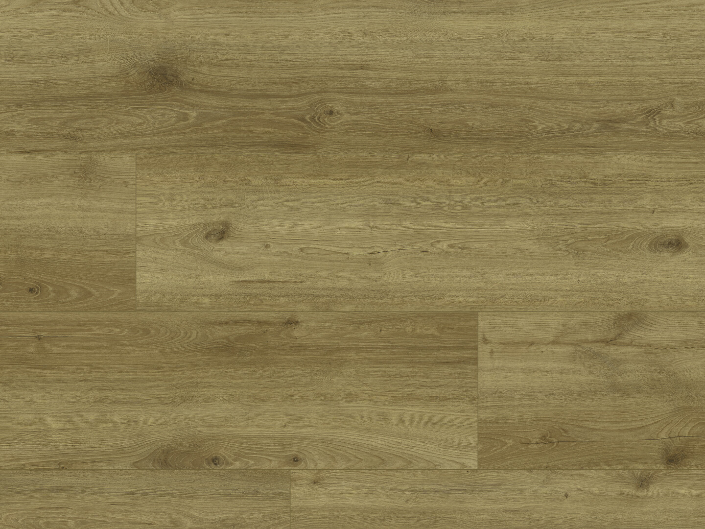 Cordoba Oak